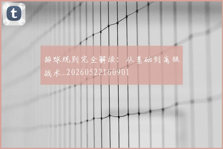 排球规则完全解读：从基础到高级战术_20260522160901
