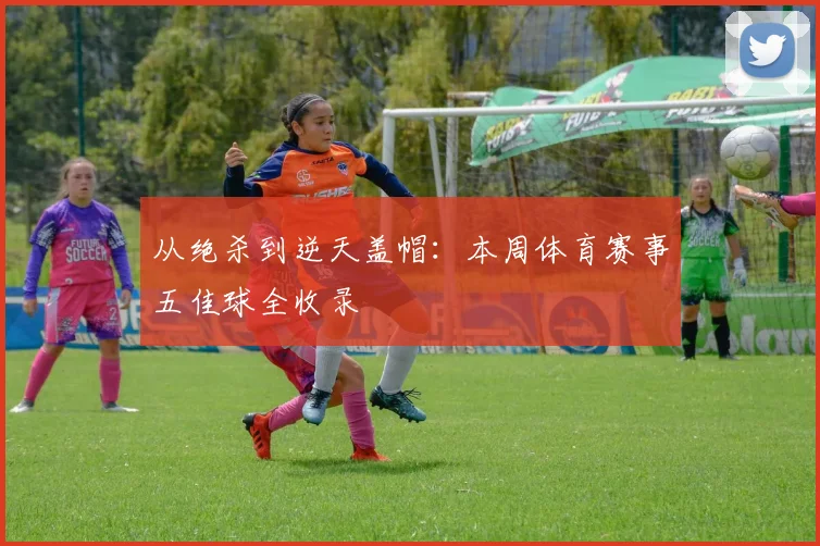 从绝杀到逆天盖帽：本周体育赛事五佳球全收录
