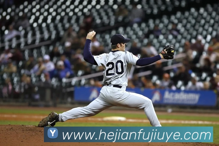 奖项证书